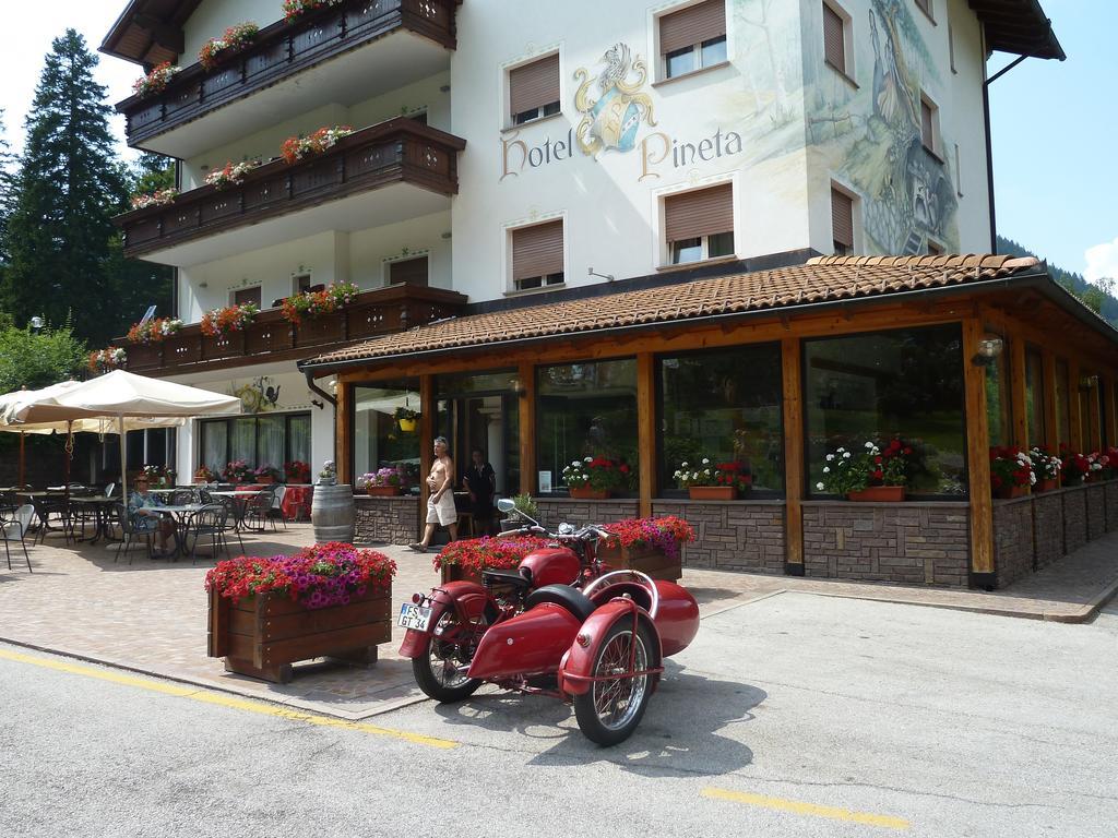 Hotel Pineta Baselga di Pine Bagian luar foto