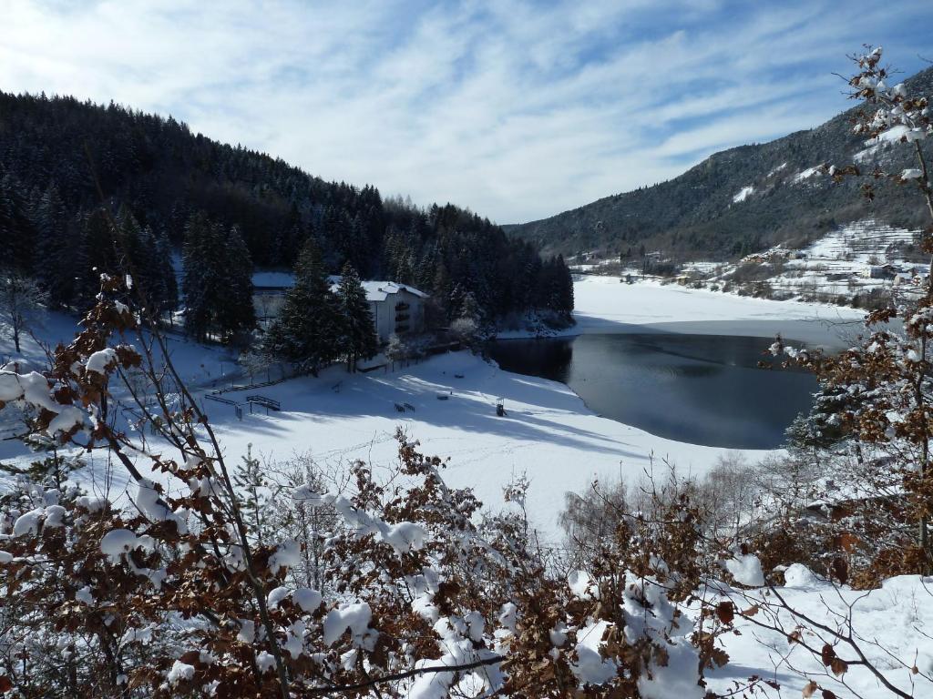 Hotel Pineta Baselga di Pine Bagian luar foto